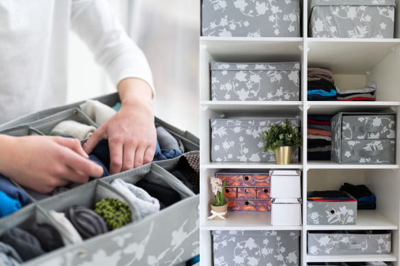 Lagerung und Organisation – Uvives