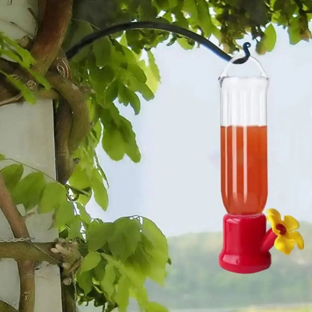 Kolibri-Futterspender | Transparent & Abnehmbar | Leicht & Langlebig | Zum Aufhängen im Freien